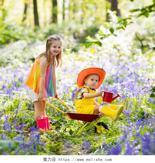 在花园里用手推车推弟弟的女孩蓝铃花，园林工具的孩子